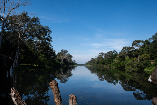 View of the calm moat surrounding the historic Angkor Wat temple complex framed by lush tropical trees under a clear blue sky in Krong Siem Reap Siem Reap Province Cambodia.