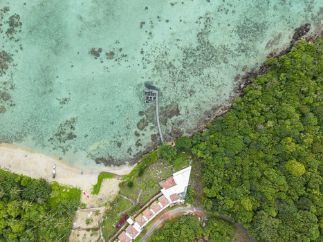 Aerial view of a vibrant coastline where emerald forests meet turquoise waters near a stilted structure Cottage Legon Waru Karimunjawa Central Java Indonesia.