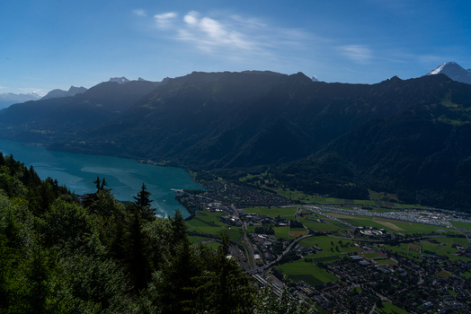 View of Harder Kulm overlooking the town of Unterseen the turquoise waters of Lake Thun and the dramatic Bernese Alps under a clear blue sky in Unterseen Canton of Bern Switzerland.