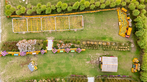 Aerial view of a vibrant pumpkin patch featuring rows of harvested pumpkins wooden structures and lush green garden beds in Gdansk Poland. Aerial view of a vibrant pumpkin patch featuring rows of harvested pumpkins wooden structures and lush green garden beds in Gdansk Poland.