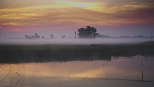 View of a misty landscape at sunrise Bangladesh.