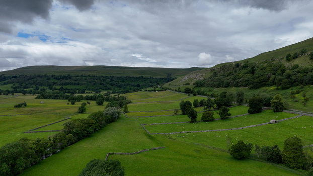 View of lush green pastures divided by traditional dry stone walls and scattered trees under a dramatic cloudy sky in the Yorkshire Dales Hawes England United Kingdom. View of lush green pastures divided by traditional dry stone walls and scattered trees under a dramatic cloudy sky in the Yorkshire Dales Hawes England United Kingdom.