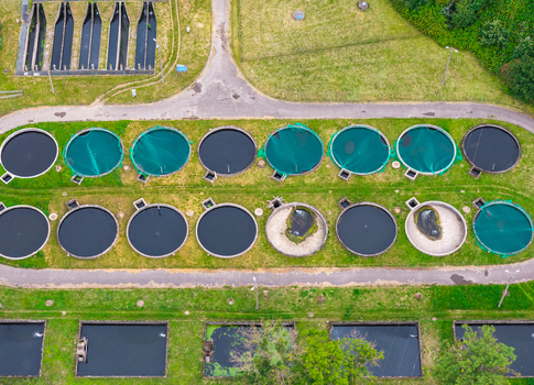 Aerial view of a trout aquaculture facility featuring multiple circular fish tanks covered with green netting surrounded by grassy paths and rectangular ponds in Pomeranian Voivodeship Poland. Aerial view of a trout aquaculture facility featuring multiple circular fish tanks covered with green netting surrounded by grassy paths and rectangular ponds in Pomeranian Voivodeship Poland.