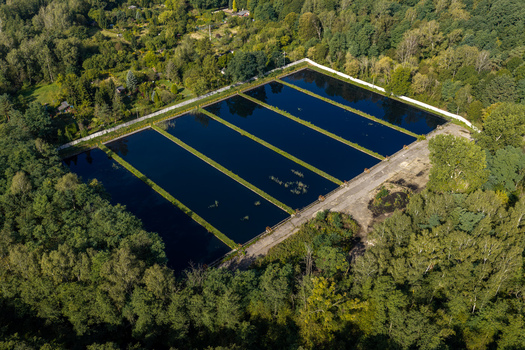 Aerial view of coal mine settling pond surrounded by dense green forest and vegetation in Jaworzno Silesian Voivodeship Poland.