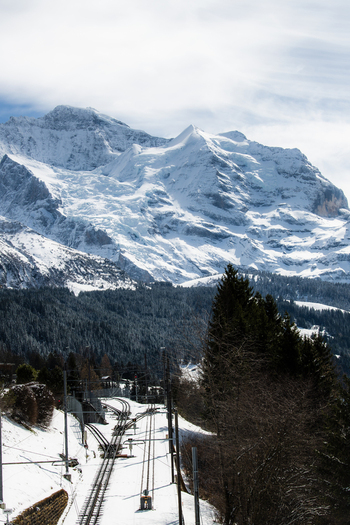 View of snowy mountain peaks towering over a lush green forest with a train track winding through the landscape in Wengen Switzerland. View of snowy mountain peaks towering over a lush green forest with a train track winding through the landscape in Wengen Switzerland.