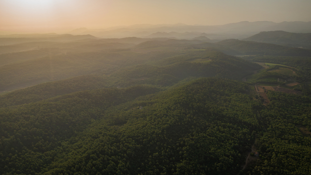 Aerial view of rolling hills covered in dense forest under a warm golden hour sky in Provence Alpes Cote d Azur France.
