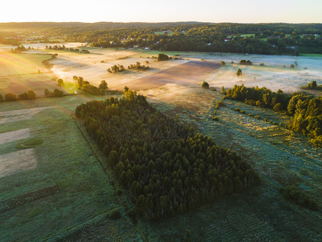 Aerial view of a lush forest patch surrounded by agricultural fields and morning mist during the golden hour in Hallesaker Halland County Sweden. Aerial view of a lush forest patch surrounded by agricultural fields and morning mist during the golden hour in Hallesaker Halland County Sweden.