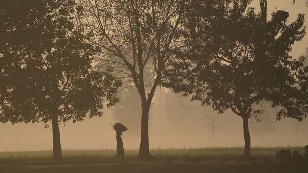 View of a person walking through misty trees in Bogura Bangladesh.