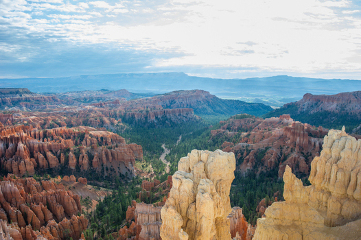 View of Bryce Canyon National Park featuring iconic orange hoodoos lush pine forests and dramatic rock formations under a bright sky in Utah United States.