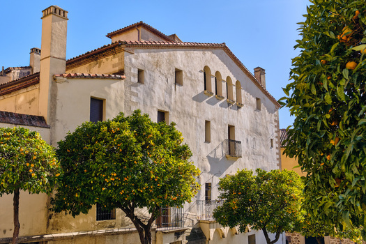 Plasencia Spain 03 December 2025 View of a historic stone building with arched windows and orange trees in the walled city. Plasencia Spain 03 December 2025 View of a historic stone building with arched windows and orange trees in the walled city.