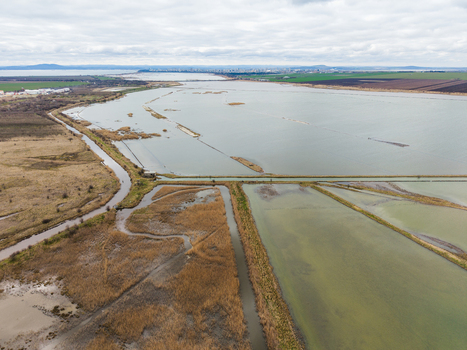 Aerial view of Lake Atanasovsko featuring intricate canals and reed beds with the city skyline in the distance under a cloudy sky in Burgas Burgas Bulgaria. Aerial view of Lake Atanasovsko featuring intricate canals and reed beds with the city skyline in the distance under a cloudy sky in Burgas Burgas Bulgaria.