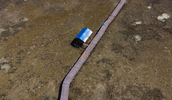 Aerial view of a wooden walkway extending over a shallow tidal flat towards a small hut with a blue roof in Raja Ampat Southwest Papua Indonesia.