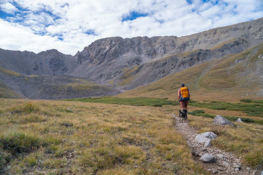 View of a hiker and dog on the Missouri Gulch Trail in the Collegiate Peaks Wilderness with Mount Missouri in the background Buena Vista Colorado United States.