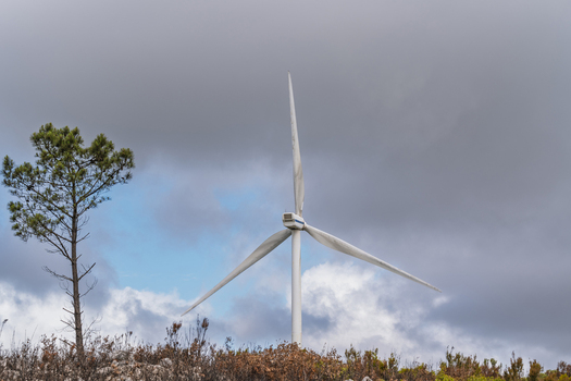 View of a wind turbine at Parque Eolico da Serra dos Candeeiros with a lone tree in the foreground under a cloudy sky in Rio Maior Santarem Portugal. View of a wind turbine at Parque Eolico da Serra dos Candeeiros with a lone tree in the foreground under a cloudy sky in Rio Maior Santarem Portugal.