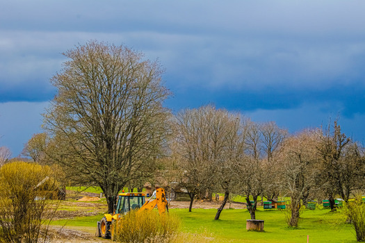 View of a yellow backhoe loader parked in a green field surrounded by bare trees under a dramatic dark cloudy sky in Latvia. View of a yellow backhoe loader parked in a green field surrounded by bare trees under a dramatic dark cloudy sky in Latvia.
