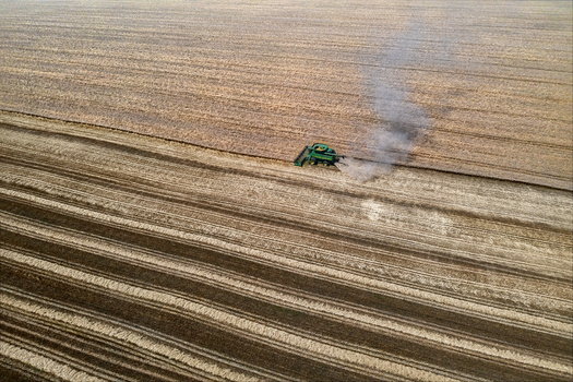 Aerial view of a combine harvester cutting a swathe through golden fields plumes of dust rising in the summer heat Chyhyryns kyi district Cherkasy Oblast Ukraine. Aerial view of a combine harvester cutting a swathe through golden fields plumes of dust rising in the summer heat Chyhyryns kyi district Cherkasy Oblast Ukraine.
