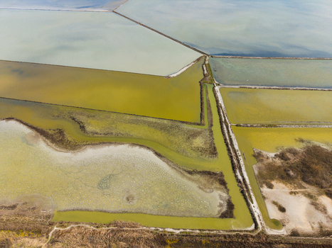 Aerial view of the colorful salt evaporation ponds of Lake Atanasovsko with geometric dikes and coastal wetlands in Burgas Burgas Bulgaria. Aerial view of the colorful salt evaporation ponds of Lake Atanasovsko with geometric dikes and coastal wetlands in Burgas Burgas Bulgaria.