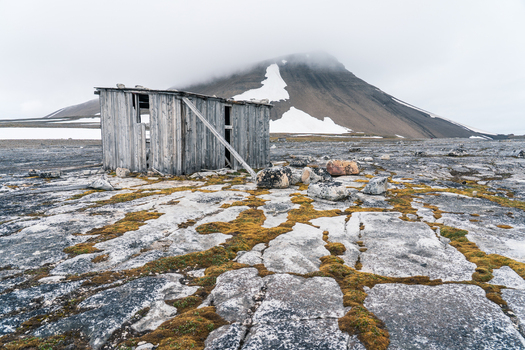 Svalbard and Jan Mayen 27 July 2025 View of an abandoned wooden shack on the rocky arctic tundra with a snow capped mountain shrouded in mist in the background. Svalbard and Jan Mayen 27 July 2025 View of an abandoned wooden shack on the rocky arctic tundra with a snow capped mountain shrouded in mist in the background.