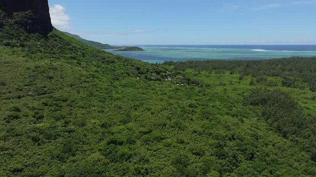 Aerial view of Le Morne mountain and lush forest in Mauritius.