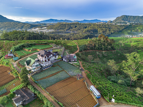 Aerial view of tea plantations surrounding a large colonial style house nestled in the lush green hills of the central highlands in Nuwara Eliya Central Province Sri Lanka. Aerial view of tea plantations surrounding a large colonial style house nestled in the lush green hills of the central highlands in Nuwara Eliya Central Province Sri Lanka.