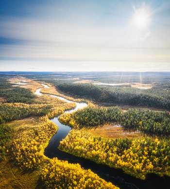 Aerial view of a winding river flowing through a vibrant autumn forest with golden trees and coniferous woods under a bright sun in Enontekio Lapland Finland. Aerial view of a winding river flowing through a vibrant autumn forest with golden trees and coniferous woods under a bright sun in Enontekio Lapland Finland.