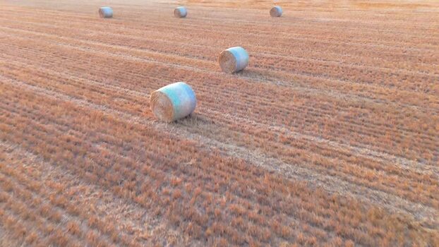 Aerial view of hay bales in a harvested field at sunset Switzerland.
