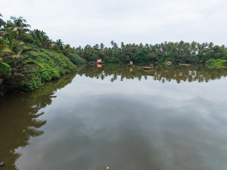Aerial view of a tropical lake surrounded by dense palm trees and lush vegetation with a small red roofed building on the shore in Galle Southern Province Sri Lanka. Aerial view of a tropical lake surrounded by dense palm trees and lush vegetation with a small red roofed building on the shore in Galle Southern Province Sri Lanka.