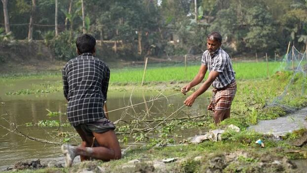 View of fishermen working by a pond in Bogura Bangladesh. View of fishermen working by a pond in Bogura Bangladesh.