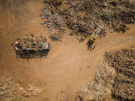 Aerial view of a logging site with trucks being loaded with timber surrounded by large piles of wood logs on a dusty ground in Boyolali Central Java Indonesia.