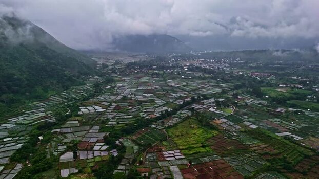 Aerial view of rice terraces in Indonesia.