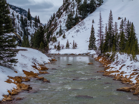 View of a flowing river winding through a snowy mountain valley with pine trees and rocky banks CO United States.