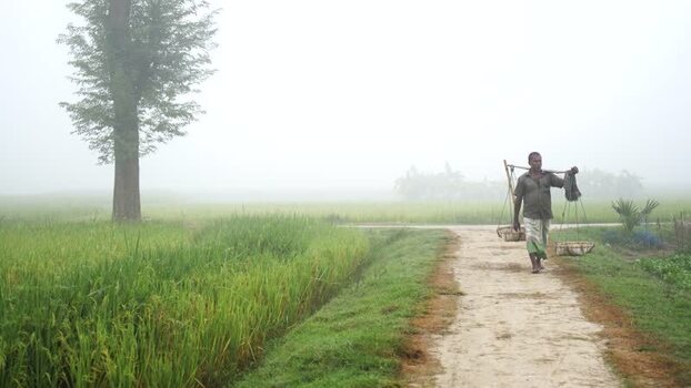 View of a man carrying baskets on a yoke in a foggy field Bangladesh.