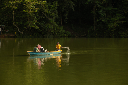 Pokhara Nepal 31 July 2026 View of two people rowing a small blue wooden boat on the calm waters of Phewa Lake surrounded by lush green forest under golden hour light.