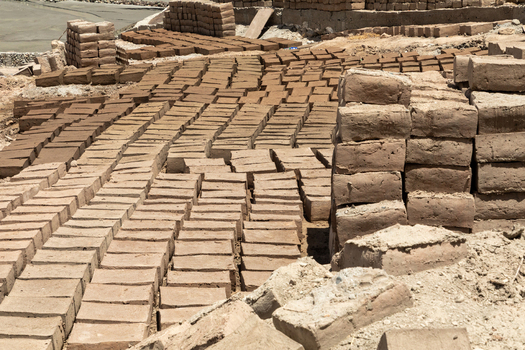 View of rows of sun dried mud bricks laid out to dry on the ground at a brick making site near Charasa Gonpa in Charasa Ladakh India.