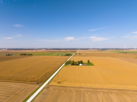 Aerial view of rural farmland with golden cornfields a straight road and wind turbines on the horizon under a clear blue sky in Wolcott Indiana United States.