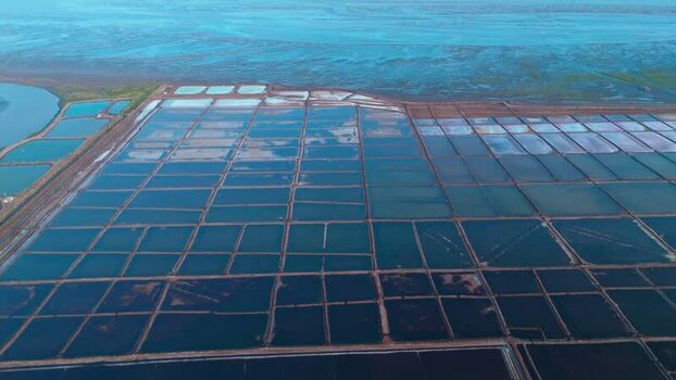 Aerial view of geometric salt pans and aquaculture ponds India.