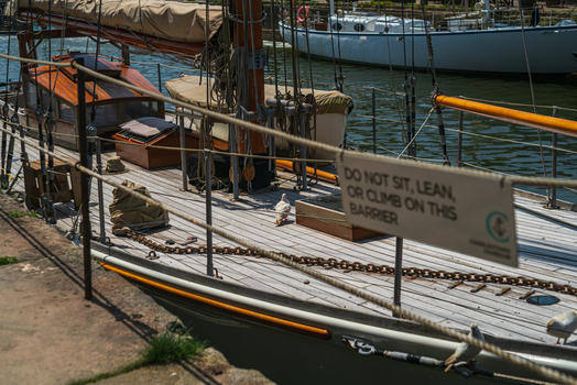 View of a wooden sailing boat docked at Charlestown Harbour with a warning sign on the barrier and pigeons on the deck in Charlestown Cornwall United Kingdom. View of a wooden sailing boat docked at Charlestown Harbour with a warning sign on the barrier and pigeons on the deck in Charlestown Cornwall United Kingdom.