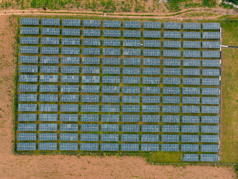 Aerial view of a large solar farm with rows of photovoltaic panels arranged in a grid pattern surrounded by rural landscape in Ogun State Nigeria.