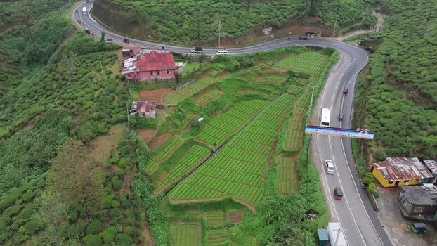 Aerial view of tea plantations and winding road in Sri Lanka. Aerial view of tea plantations and winding road in Sri Lanka.