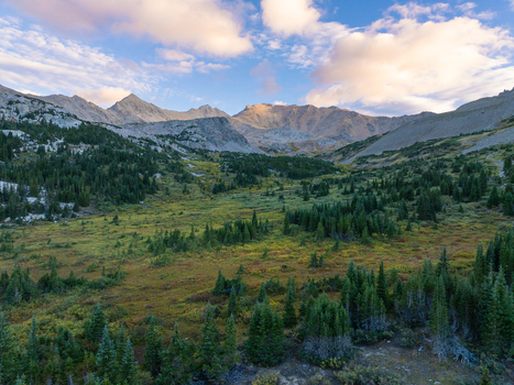 Aerial view of Mount Harvard rising above a lush green valley filled with pine trees and rocky slopes under a soft morning sky in Buena Vista Colorado United States. Aerial view of Mount Harvard rising above a lush green valley filled with pine trees and rocky slopes under a soft morning sky in Buena Vista Colorado United States.