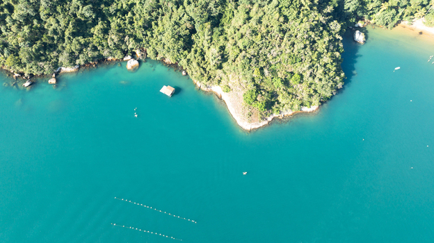 Aerial view of Lagoa Azul with turquoise waters and lush green coastline in Angra dos Reis Rio de Janeiro Brazil.