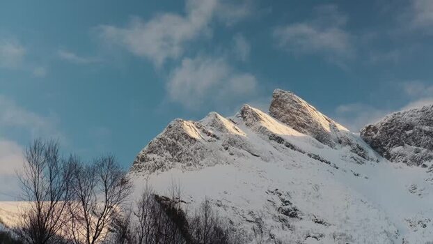 View of snow capped mountains and bare trees Norway.