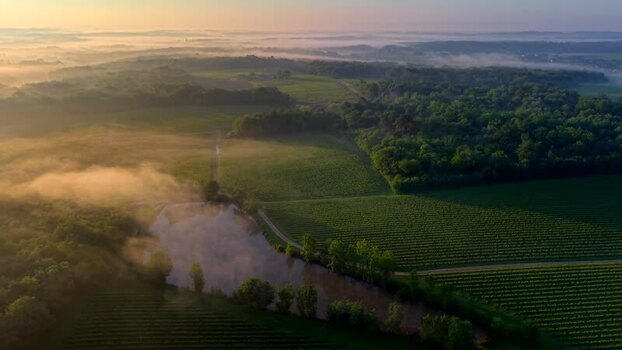 Aerial view of misty vineyards and a lake at sunrise France. Aerial view of misty vineyards and a lake at sunrise France.