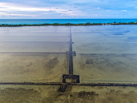 Aerial view of Salt Pond with geometric grids and shallow water near the turquoise ocean under a cloudy sky in Exuma Exuma The Bahamas.