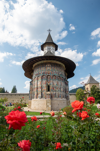 View of Sucevita Monastery with its vibrant exterior frescoes and a foreground of blooming red roses in Sucevita Judetul Suceava Romania. View of Sucevita Monastery with its vibrant exterior frescoes and a foreground of blooming red roses in Sucevita Judetul Suceava Romania.