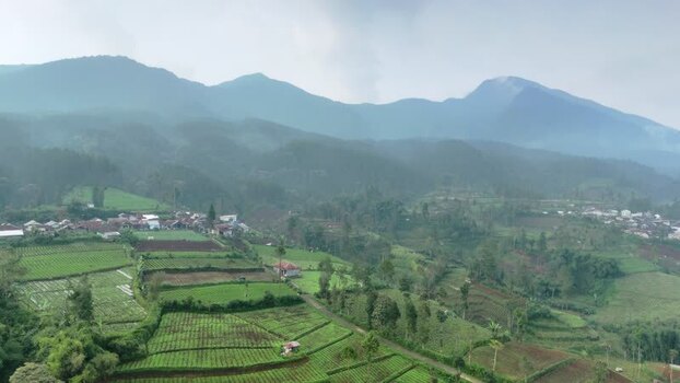 Aerial view of terraced fields and mountains in Indonesia. Aerial view of terraced fields and mountains in Indonesia.
