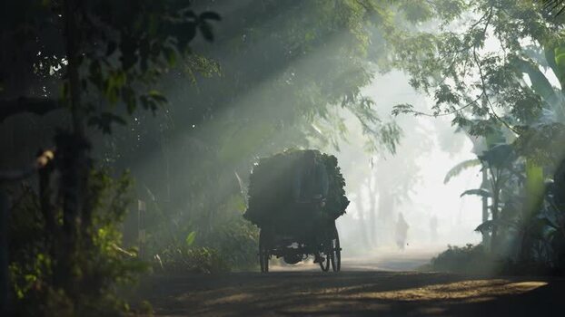 View of a person on a bicycle in the morning mist Bangladesh. View of a person on a bicycle in the morning mist Bangladesh.