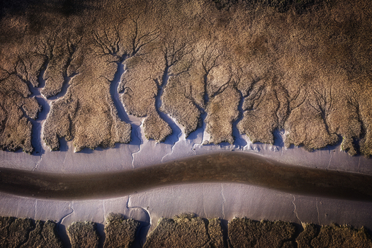 Aerial view of intricate dendritic drainage patterns in a salt marsh with a winding water channel and textured mudflats Portmarnock County Dublin Ireland. Aerial view of intricate dendritic drainage patterns in a salt marsh with a winding water channel and textured mudflats Portmarnock County Dublin Ireland.