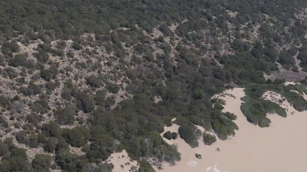 Aerial view of sandy beach in Famagusta Northern Cyprus.
