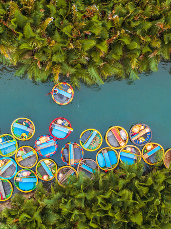 Aerial view of colorful traditional basket boats floating on a calm river channel lined with lush green palm trees in Vietnam. Aerial view of colorful traditional basket boats floating on a calm river channel lined with lush green palm trees in Vietnam.